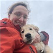 Professeur en école supérieure souhaite donner des cours de français.